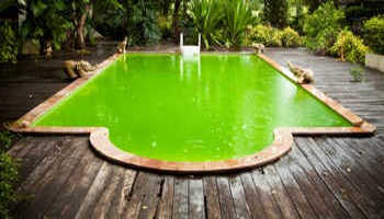 piscine tubulaire eau verte