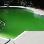piscine pleine d'algues
