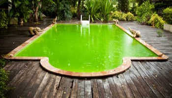 « Comment rattraper l’eau d’une piscine verte »
