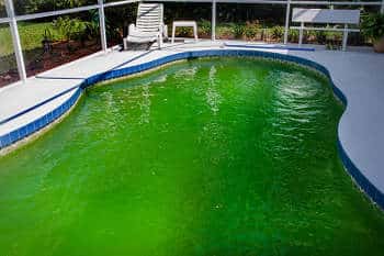 « Les 7 conditions pour éviter l’apparition des algues »